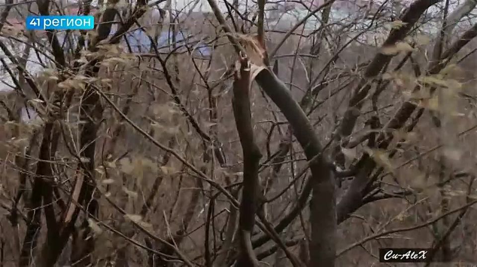 Камчатская осень • Без комментариев