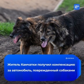 529                    