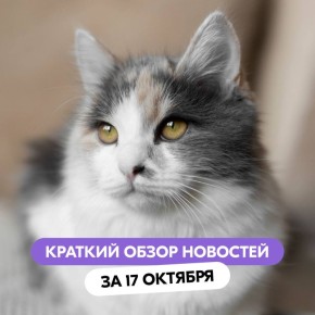  ,    ?
