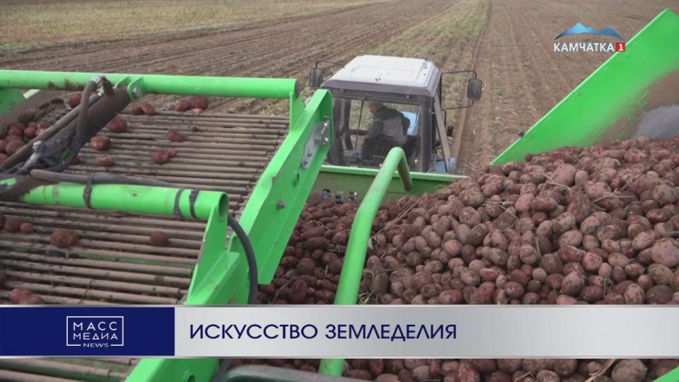 Искусство земледелия. Как работает сельскохозяйственная техника, собирается и хранится урожай — воспитанники агрокласса Раздольненской средней школы побывали на сельскохозяйственном предприятии