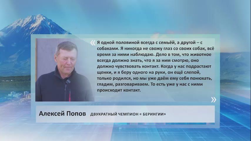 «Я всегда с семьёй и собаками. Я постоянно наблюдаю за своими питомцами, чтобы они чувствовали мой контроль. Когда подрастают щенки, я беру их на руки, даю понюхать, глажу и разговариваю с ними, устанавливая контакт.» -...