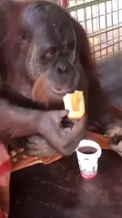 типичное утро. all inclusive