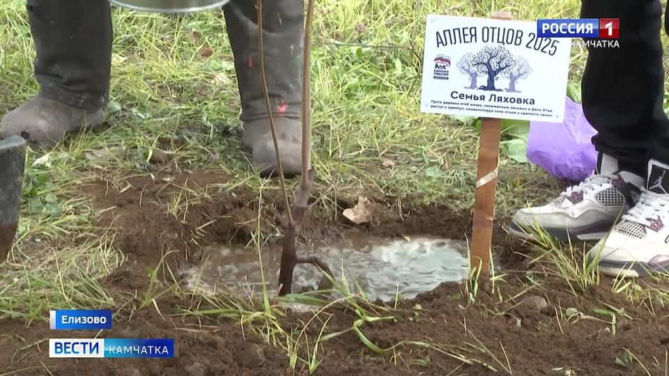 Деревья с табличками - как страницы книги, где каждая фамилия - глава о любви, взаимопонимании и поддержке