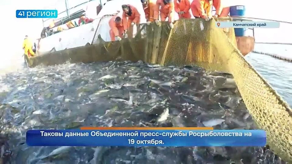 Камчатские рыбаки поймали почти 900 тысяч тонн водных биоресурсов