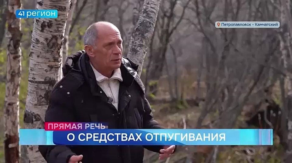 Эксперт о средствах отпугивания медведей • Прямая речь