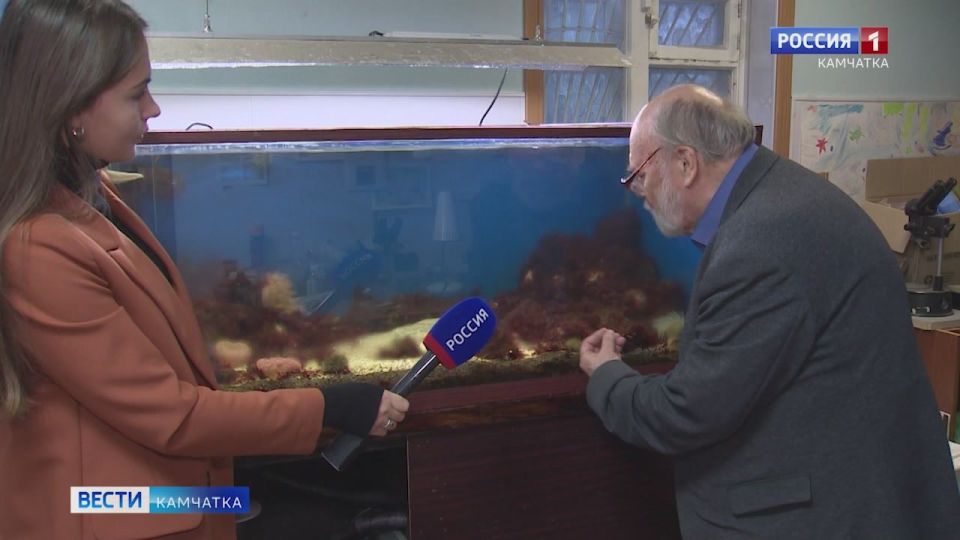 Живой кусочек Тихого океана