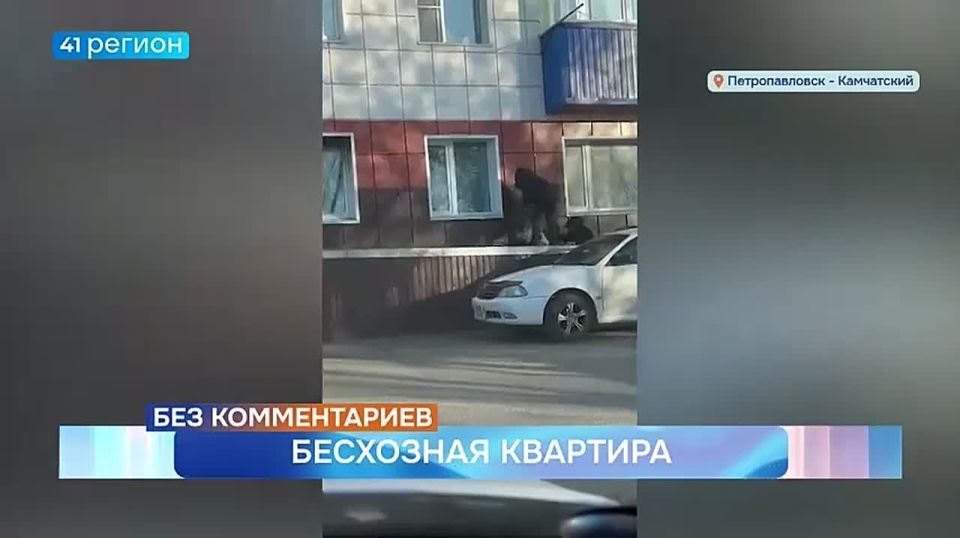 В бесхозной квартире на Давыдова ночуют бездомные • Без комментариев