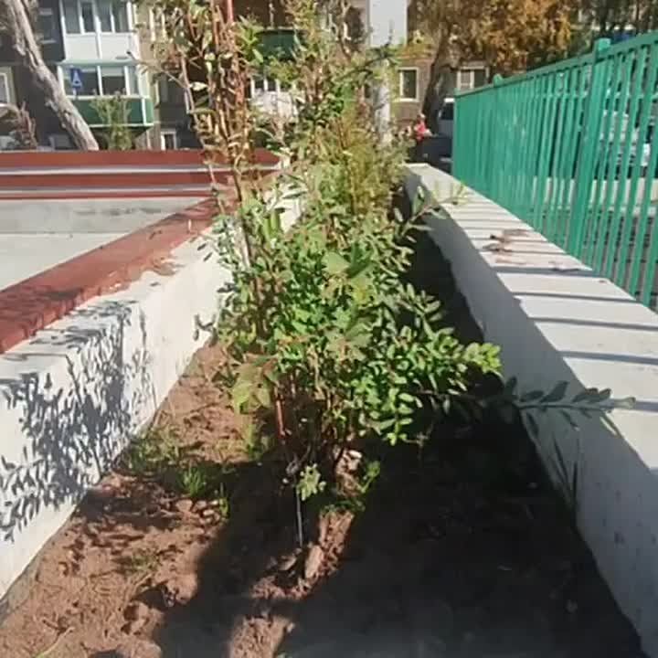 Камчатцев, которые жаловались на жуткую вонь у зоны отдыха, услышали