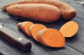 Батат: Сладкий картофель и его полезные свойства