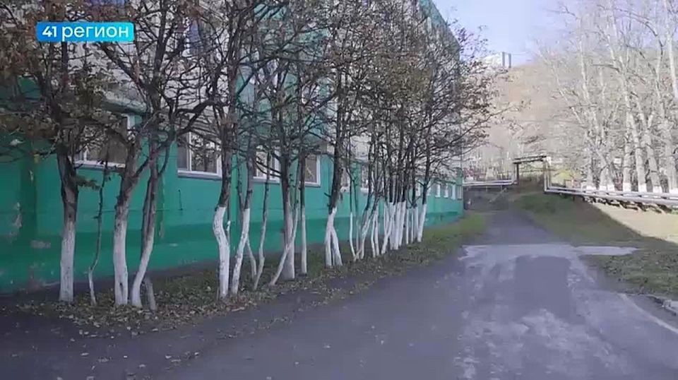 Шестьдесят камчатских студентов завершили целевое обучение и вернулись на полуостров в этом году