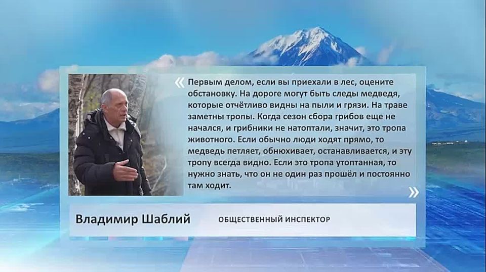 "Первым делом, если вы приехали в лес, оцените обстановку