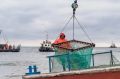 За инцидент с травмированным рыбаком накажут колхоз имени Ленина