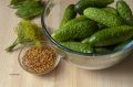 Уникальные маринованные огурцы с французской горчицей: вкус, который покорит ваши сердца