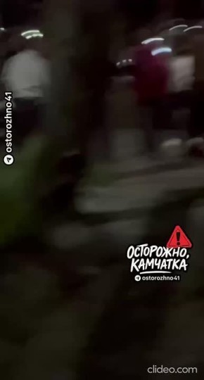 Массовая драка случилась на Озерновской косе