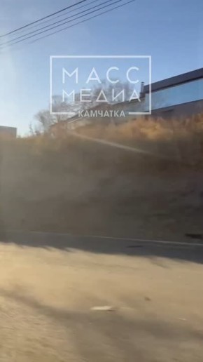 Двое погибли, один — в реанимации после жёсткого ДТП в Петропавловске-Камчатском