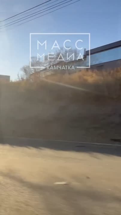 Двое погибли, один — в реанимации после жёсткого ДТП в Петропавловске-Камчатском