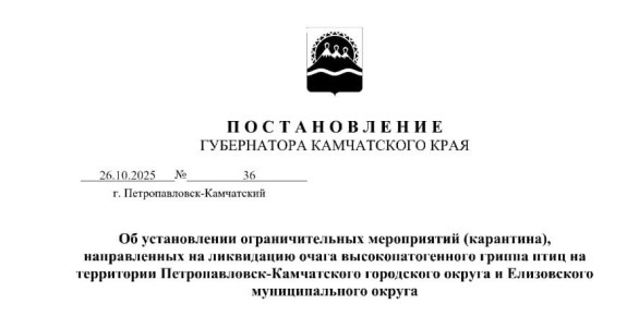 Вспышку птичьего гриппа обнаружили в личном подсобном хозяйстве в Елизовском округе Камчатки