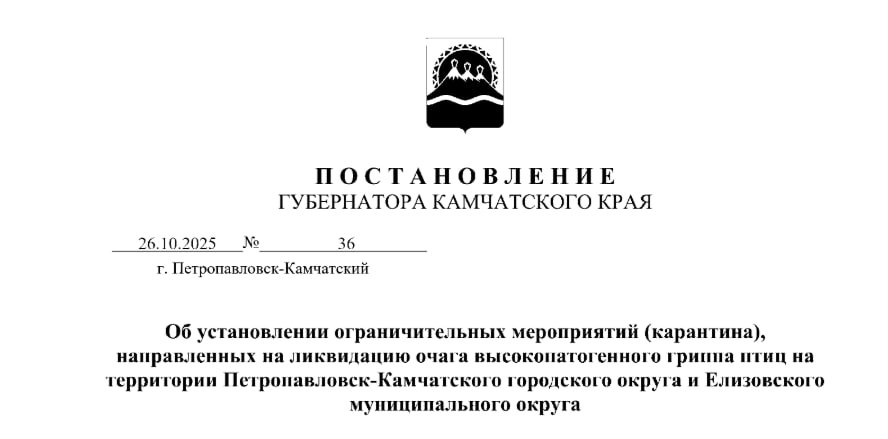 Вспышку птичьего гриппа обнаружили в личном подсобном хозяйстве в Елизовском округе Камчатки