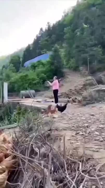 Когда позвали на обед