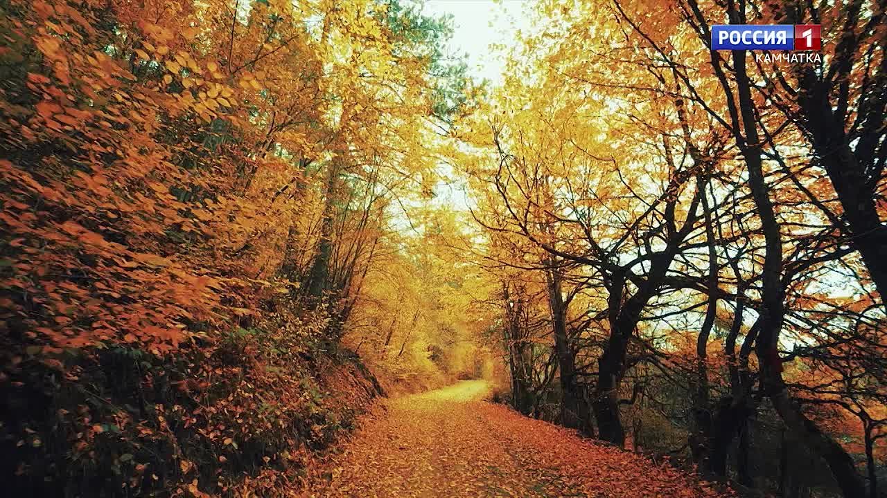 Какая камчатцев ждет погода завтра, в четверг, 30 октября?