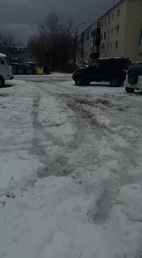 #нампишут:. Здравствуйте! По улице Бохняка 11 каждый день подкармливают голубей и начали заводиться крысы! Была одна, сейчас их две, а две крысы уже расплодят много! Обращение в Роспотребнадзор написано, но пока его...