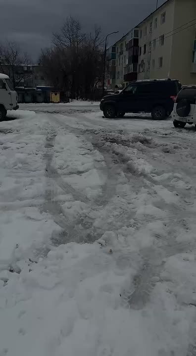 #нампишут:. Здравствуйте! По улице Бохняка 11 каждый день подкармливают голубей и начали заводиться крысы! Была одна, сейчас их две, а две крысы уже расплодят много! Обращение в Роспотребнадзор написано, но пока его...