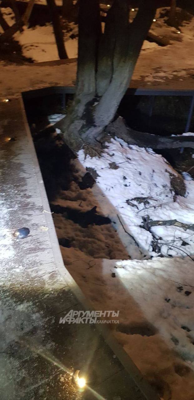 #нампишут Свалиться с тропы - легче легкого #нампишут Свалиться с тропы - легче легкого