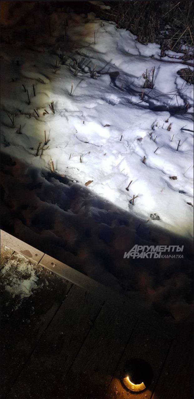 #нампишут Свалиться с тропы - легче легкого #нампишут Свалиться с тропы - легче легкого