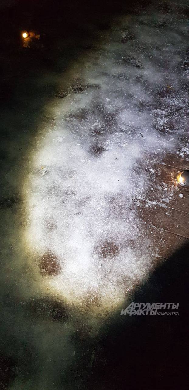 #нампишут Свалиться с тропы - легче легкого #нампишут Свалиться с тропы - легче легкого