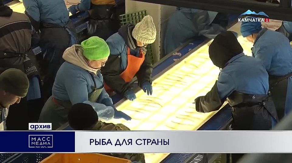 Рыба для страны. Президент Владимир Путин поддержал инициативы региона по развитию рыбной отрасли