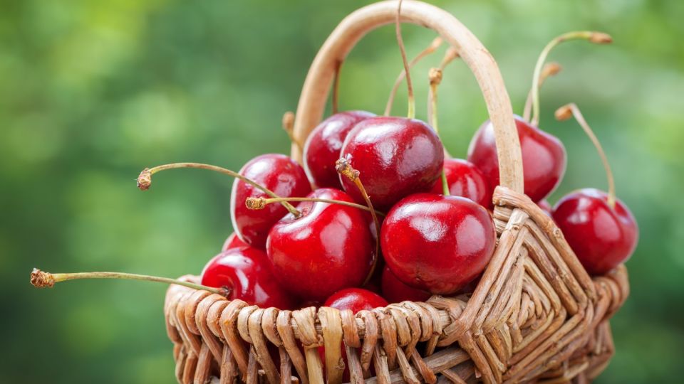 Черешню всегда выбирайте по этому признаку: она будет спелой и сладкой