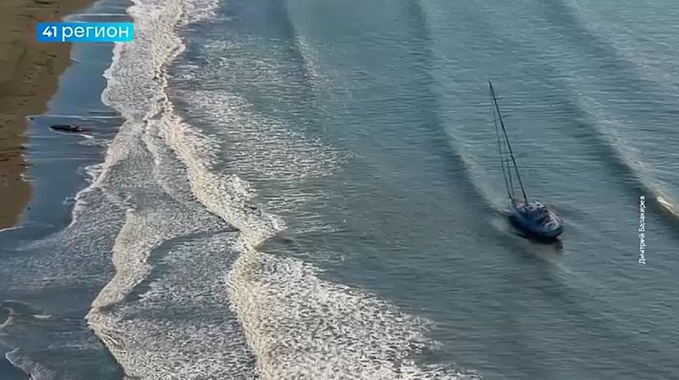   OceanBird,          ,   