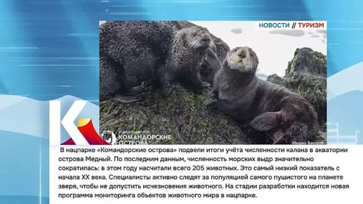 Камчатка|Новости туризма. «Паспорт путешественника. Камчатский край» смогут получить все желающие в Камчатском выставочно-туристическом центре