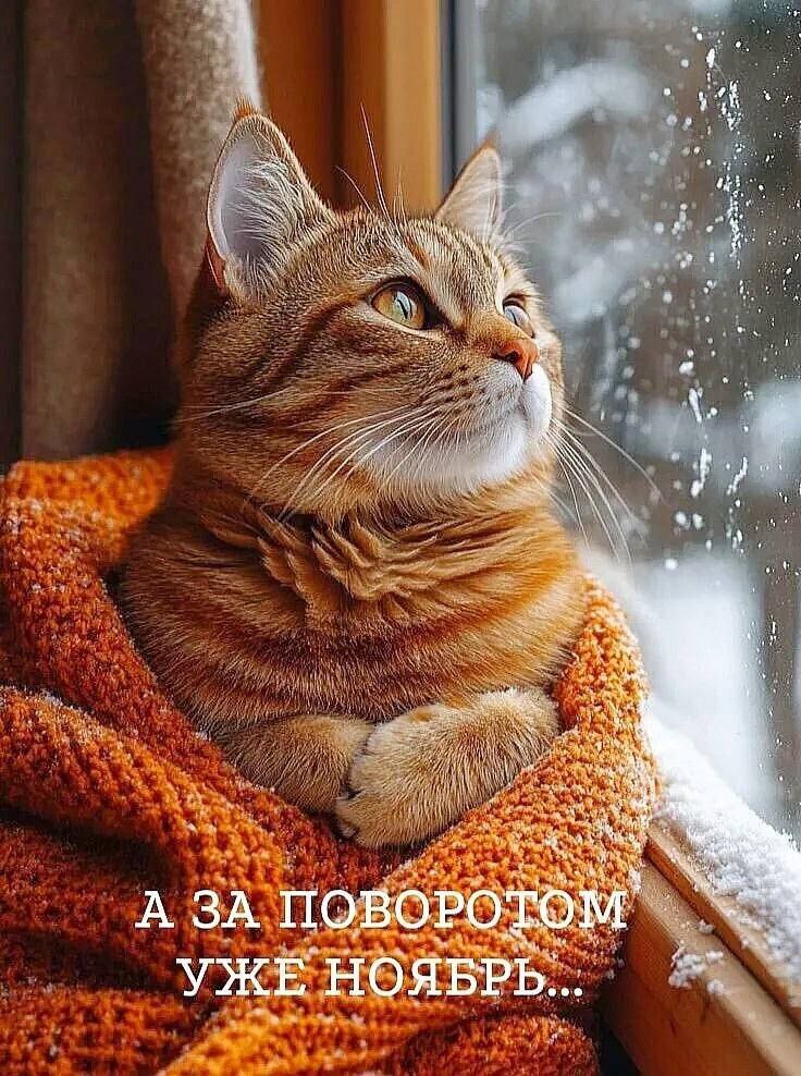 Доброй ночи, Камчатка!. Мы в MAX