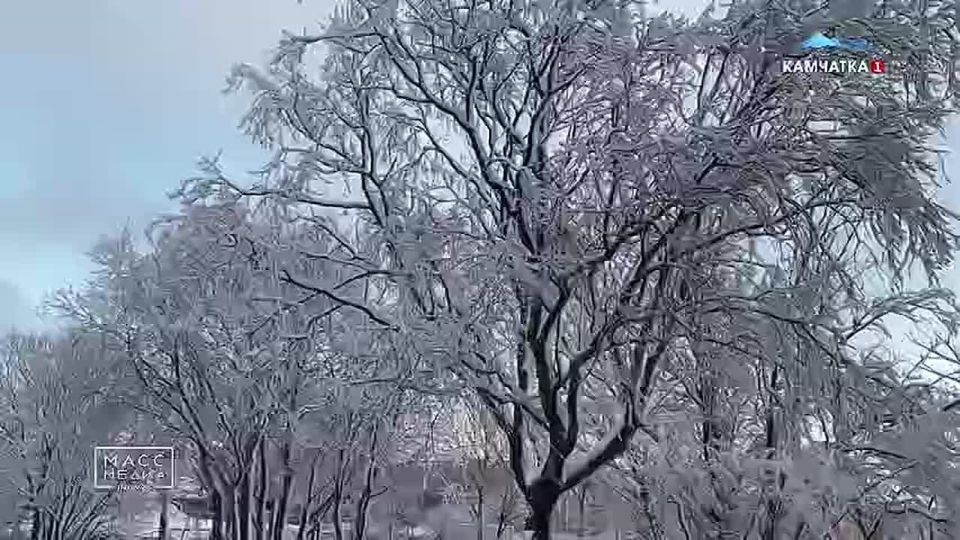 Золотое перо Руси. Поэтесса из посёлка Ключи стала лауреатом национальной литературной премии