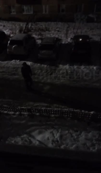            41  ,  .      ,  ,     ...