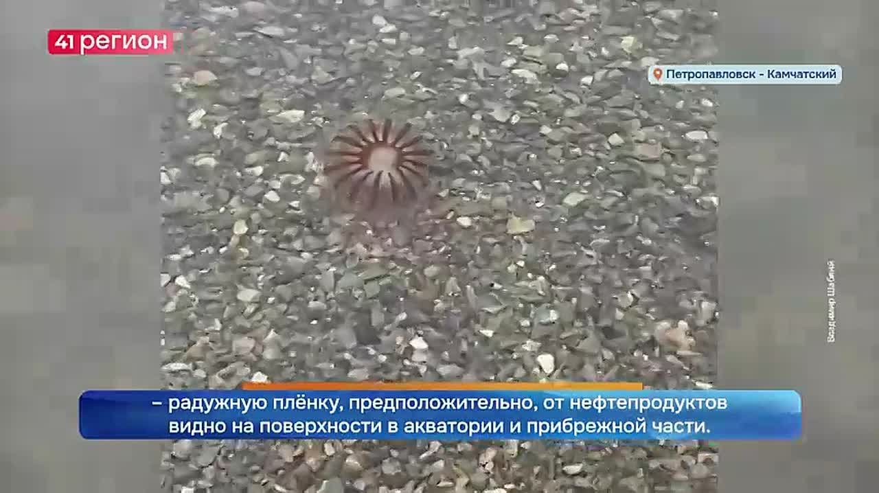 Воды Авачинской бухты на Камчатке загрязнены – радужную плёнку, предположительно, от нефтепродуктов видно на поверхности в акватории и прибрежной части