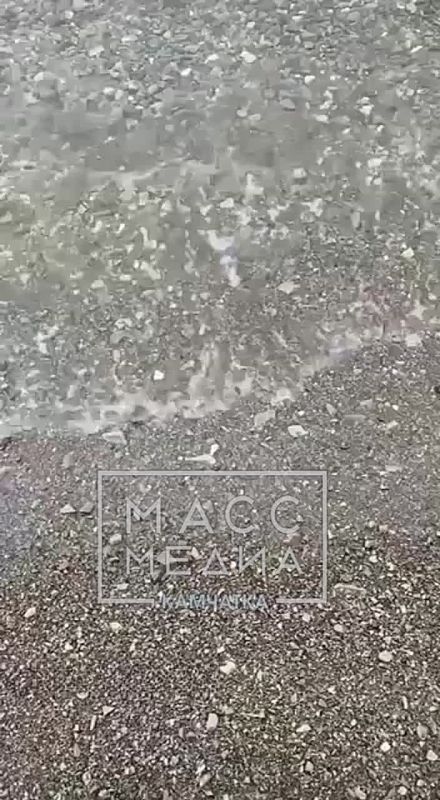 Загрязнение нефтепродуктами подтвердили в Авачинской бухте