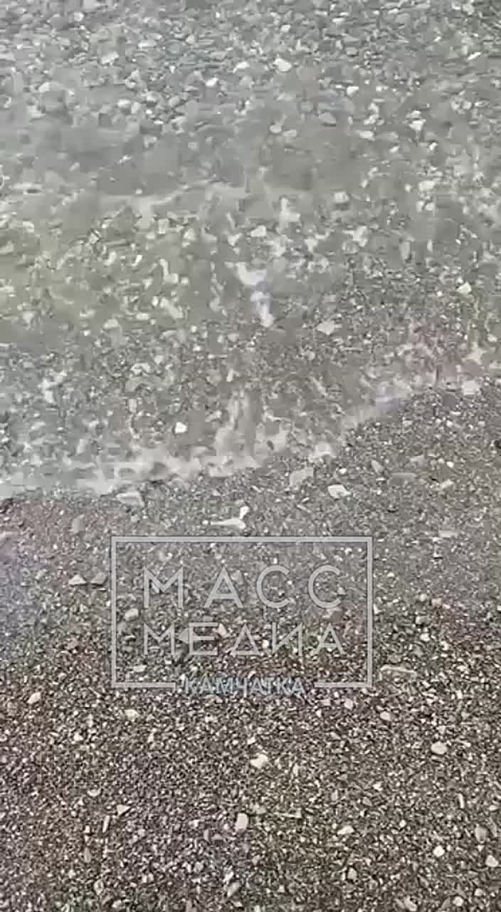 Загрязнение нефтепродуктами подтвердили в Авачинской бухте