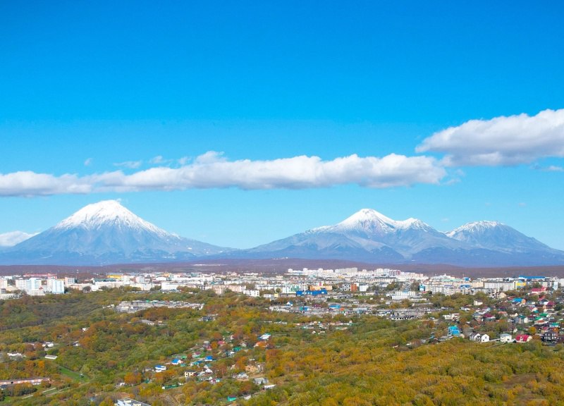 Информация о выходах медведей в Петропавловске-Камчатском