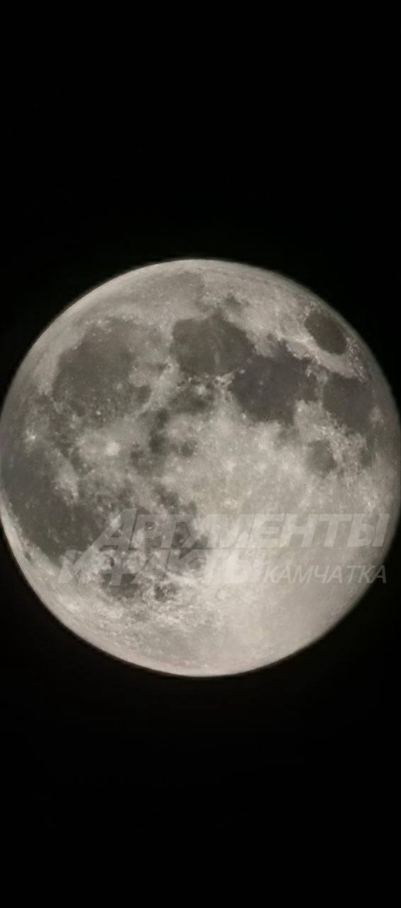 Читатели присылают в чатик Луну охотника с разных ракурсов, а наш админ не хлопает ушами Читатели присылают в чатик Луну охотника с разных ракурсов, а наш админ не хлопает ушами