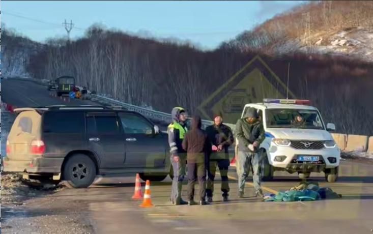 Пешеход погиб при переходе дороги в неположенном месте в Петропавловске-Камчатском