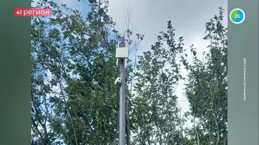 Узнать за 60 секунд. Новости полуострова: