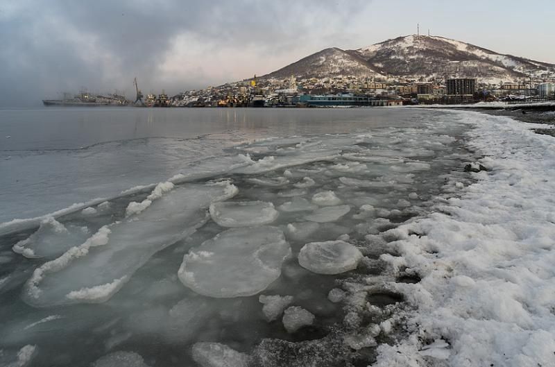 Учёные: дно Авачинской бухты на Камчатке почти полностью мертво