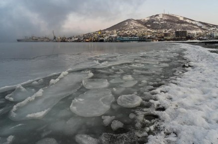 Учёные: дно Авачинской бухты на Камчатке почти полностью мертво