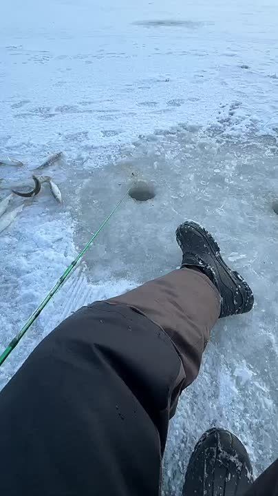 ДОБРО ПОЖАЛОВАТЬ НА КАМЧАТКУ