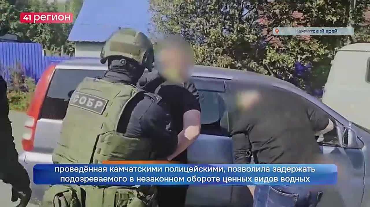 Около ста килограммов икры без маркировки стоимостью 400 тысяч рублей изъяли на Камчатке