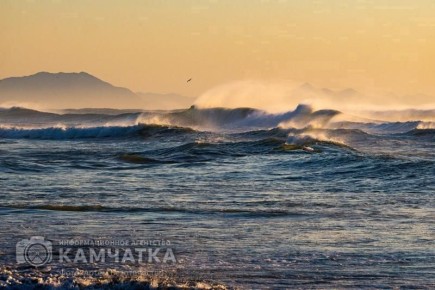 Путин утвердил поручения по итогам ВЭФ: инвестиции и новые промпарки для Камчатки