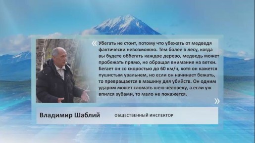 Убегать от медведя не стоит, так как это почти невозможно