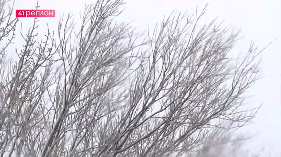 Погоду на юге Камчатки в эти выходные испортит беринговоморский циклон